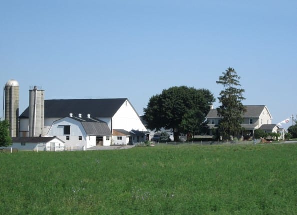 Amish or Mennonite farms can look so idealistic and peaceful, giving no hint to the sexual abuse in their communities.