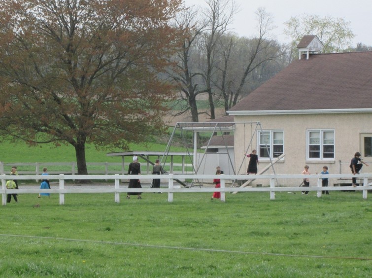 Amish children playing at an Amish school house. It is innocent young boys and girls who are being unjustly sexually violated.