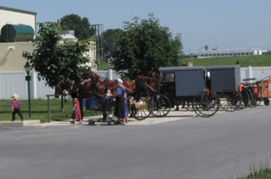 Young Amish children look so cute dressed in their Amish outfits. But it is heartbreaking realizing the rampant sexual abuse of many Amish children that is a result, in part, of the Great Amish Dress Experiment.