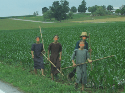 The modest dresses of these young Amish girls with their high neck lines and low hem lines are not a protection from sexual predation. 